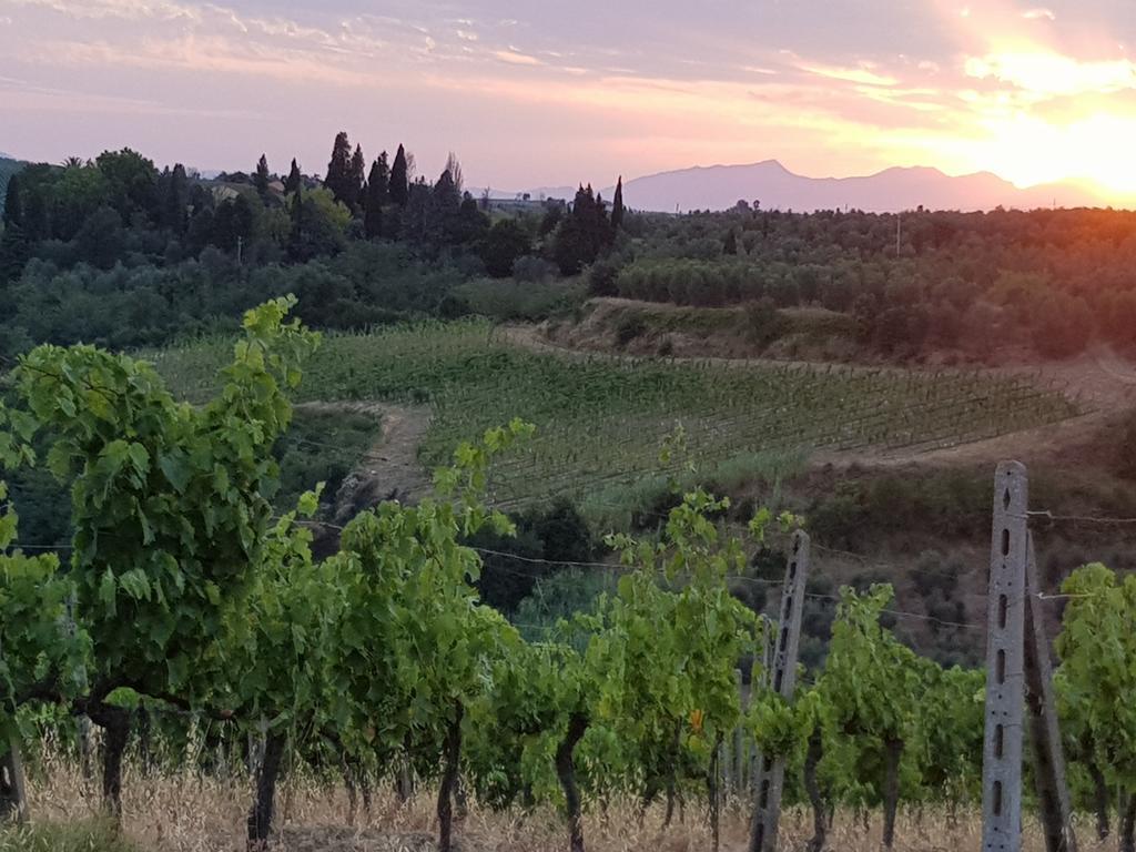 Limite Agriturismo Podere Casalone מראה חיצוני תמונה